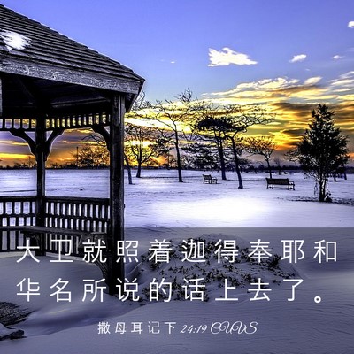 Picture 03 - 撒 母 耳 记 下 24:19 CUVS - 大 卫 就 照 着 迦 得 奉 耶 和 华 名 - Bible Verse Picture