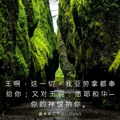 Picture 03 - 撒 母 耳 记 下 24:23 CUVS - 王 啊 ， 这 一 切 ， 我 亚 劳 拿 都 - Bible Verse Picture