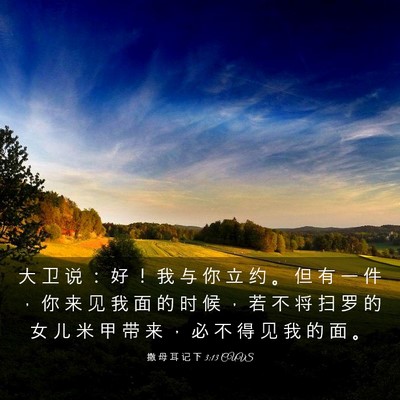 Picture 03 - 撒 母 耳 记 下 3:13 CUVS - 大 卫 说 ： 好 ！ 我 与 你 立 约 。 - Bible Verse Picture