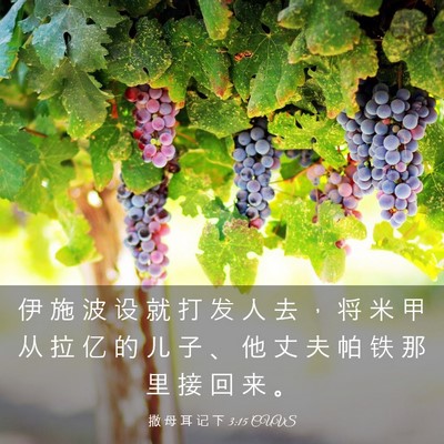 Picture 03 - 撒 母 耳 记 下 3:15 CUVS - 伊 施 波 设 就 打 发 人 去 ， 将 米 - Bible Verse Picture