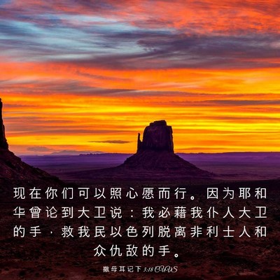 Picture 03 - 撒 母 耳 记 下 3:18 CUVS - 现 在 你 们 可 以 照 心 愿 而 行 。 - Bible Verse Picture