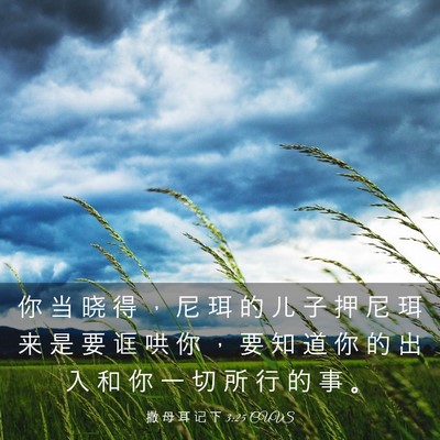 Picture 03 - 撒 母 耳 记 下 3:25 CUVS - 你 当 晓 得 ， 尼 珥 的 儿 子 押 尼 - Bible Verse Picture