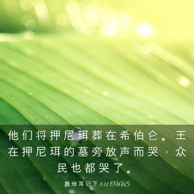 Picture 03 - 撒 母 耳 记 下 3:32 CUVS - 他 们 将 押 尼 珥 葬 在 希 伯 仑 。 - Bible Verse Picture