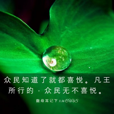 Picture 03 - 撒 母 耳 记 下 3:36 CUVS - 众 民 知 道 了 就 都 喜 悦 。 凡 王 - Bible Verse Picture