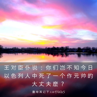 Picture 03 - 撒 母 耳 记 下 3:38 CUVS - 王 对 臣 仆 说 ： 你 们 岂 不 知 今 - Bible Verse Picture