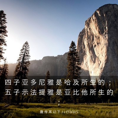Picture 03 - 撒 母 耳 记 下 3:4 CUVS - 四 子 亚 多 尼 雅 是 哈 及 所 生 的 - Bible Verse Picture