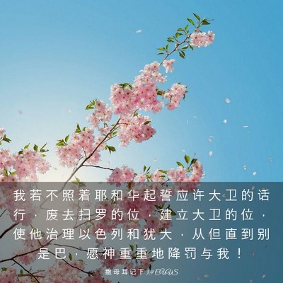 Picture 03 - 撒 母 耳 记 下 3:9 CUVS - 我 若 不 照 着 耶 和 华 起 誓 应 许 - Bible Verse Picture