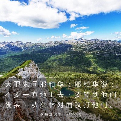Picture 03 - 撒 母 耳 记 下 5:23 CUVS - 大 卫 求 问 耶 和 华 ； 耶 和 华 说 - Bible Verse Picture
