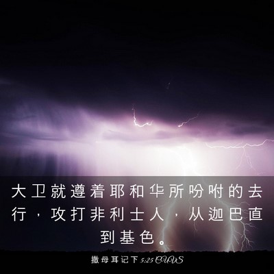 Picture 03 - 撒 母 耳 记 下 5:25 CUVS - 大 卫 就 遵 着 耶 和 华 所 吩 咐 的 - Bible Verse Picture