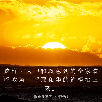 Picture 03 - 撒 母 耳 记 下 6:15 CUVS - 这 样 ， 大 卫 和 以 色 列 的 全 家 - Bible Verse Picture