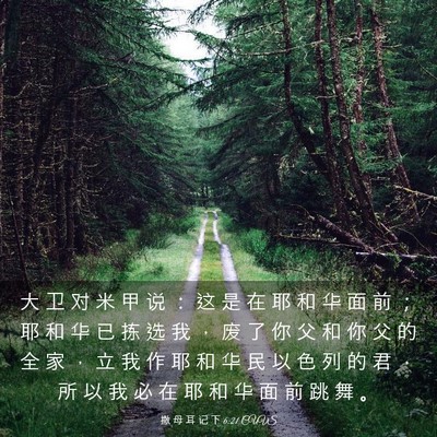 Picture 03 - 撒 母 耳 记 下 6:21 CUVS - 大 卫 对 米 甲 说 ： 这 是 在 耶 和 - Bible Verse Picture