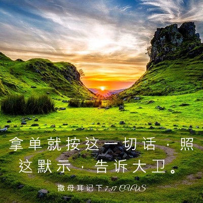 Picture 03 - 撒 母 耳 记 下 7:17 CUVS - 拿 单 就 按 这 一 切 话 ， 照 这 默 - Bible Verse Picture