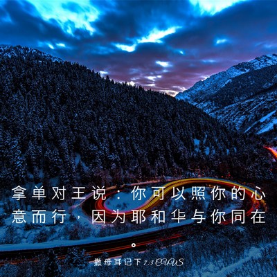 Picture 03 - 撒 母 耳 记 下 7:3 CUVS - 拿 单 对 王 说 ： 你 可 以 照 你 的 - Bible Verse Picture