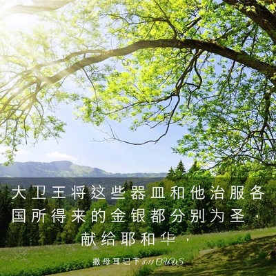 Picture 03 - 撒 母 耳 记 下 8:11 CUVS - 大 卫 王 将 这 些 器 皿 和 他 治 服 - Bible Verse Picture