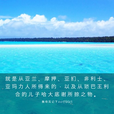 Picture 03 - 撒 母 耳 记 下 8:12 CUVS - 就 是 从 亚 兰 、 摩 押 、 亚 扪 、 - Bible Verse Picture