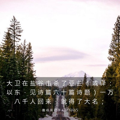 Picture 03 - 撒 母 耳 记 下 8:13 CUVS - 大 卫 在 盐 谷 击 杀 了 亚 兰 （ 或 - Bible Verse Picture