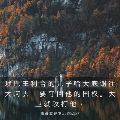 Picture 03 - 撒 母 耳 记 下 8:3 CUVS - 琐 巴 王 利 合 的 儿 子 哈 大 底 谢 - Bible Verse Picture