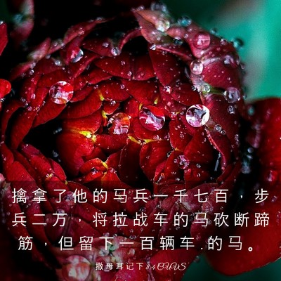 Picture 03 - 撒 母 耳 记 下 8:4 CUVS - 擒 拿 了 他 的 马 兵 一 千 七 百 ， - Bible Verse Picture
