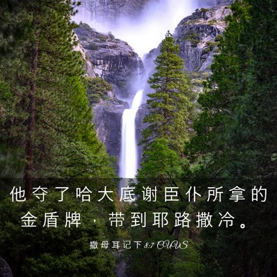 Picture 03 - 撒 母 耳 记 下 8:7 CUVS - 他 夺 了 哈 大 底 谢 臣 仆 所 拿 的 - Bible Verse Picture