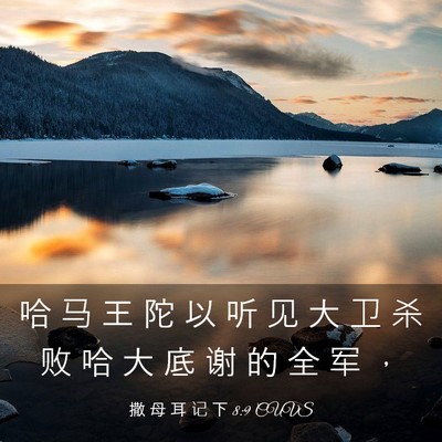 Picture 03 - 撒 母 耳 记 下 8:9 CUVS - 哈 马 王 陀 以 听 见 大 卫 杀 败 哈 - Bible Verse Picture