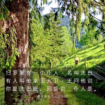 Picture 03 - 撒 母 耳 记 下 9:2 CUVS - 扫 罗 家 有 一 个 仆 人 ， 名 叫 洗 - Bible Verse Picture
