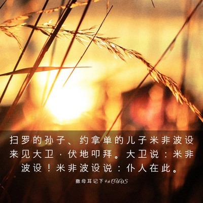 Picture 03 - 撒 母 耳 记 下 9:6 CUVS - 扫 罗 的 孙 子 、 约 拿 单 的 儿 子 - Bible Verse Picture