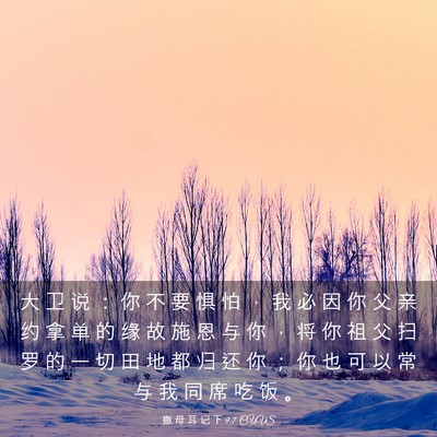 Picture 03 - 撒 母 耳 记 下 9:7 CUVS - 大 卫 说 ： 你 不 要 惧 怕 ， 我 必 - Bible Verse Picture
