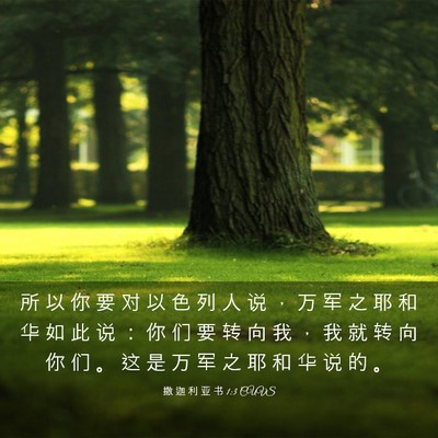 Picture 03 - 撒 迦 利 亚 书 1:3 CUVS - 所 以 你 要 对 以 色 列 人 说 ， 万 - Bible Verse Picture