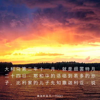 Picture 03 - 撒 迦 利 亚 书 1:7 CUVS - 大 利 乌 第 二 年 十 一 月 ， 就 是 - Bible Verse Picture