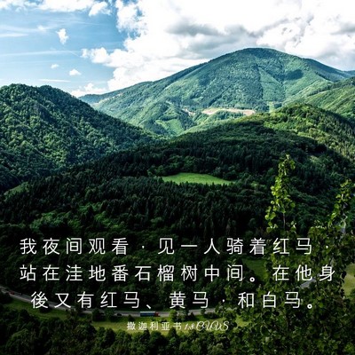 Picture 03 - 撒 迦 利 亚 书 1:8 CUVS - 我 夜 间 观 看 ， 见 一 人 骑 着 红 - Bible Verse Picture
