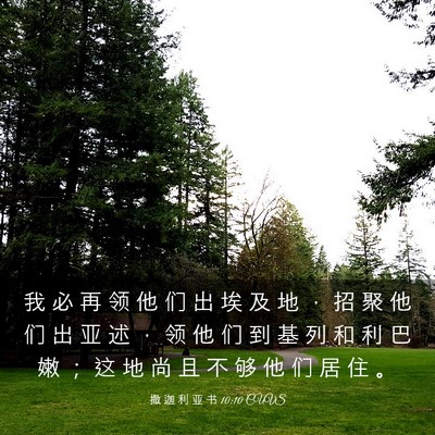 Picture 03 - 撒 迦 利 亚 书 10:10 CUVS - 我 必 再 领 他 们 出 埃 及 地 ， 招 - Bible Verse Picture