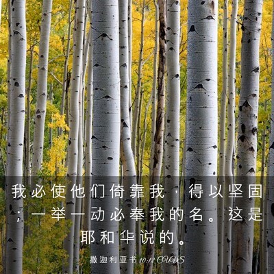 Picture 03 - 撒 迦 利 亚 书 10:12 CUVS - 我 必 使 他 们 倚 靠 我 ， 得 以 坚 - Bible Verse Picture