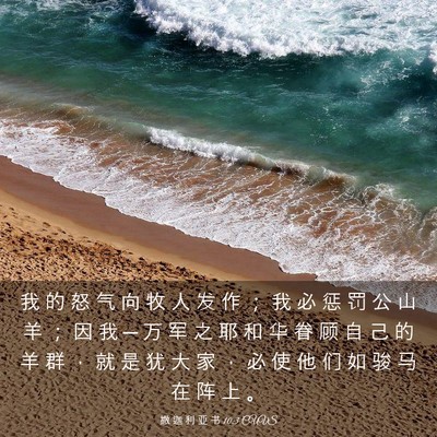 Picture 03 - 撒 迦 利 亚 书 10:3 CUVS - 我 的 怒 气 向 牧 人 发 作 ； 我 必 - Bible Verse Picture