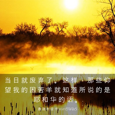 Picture 03 - 撒 迦 利 亚 书 11:11 CUVS - 当 日 就 废 弃 了 。 这 样 ， 那 些 - Bible Verse Picture