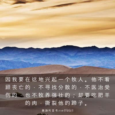 Picture 03 - 撒 迦 利 亚 书 11:16 CUVS - 因 我 要 在 这 地 兴 起 一 个 牧 人 - Bible Verse Picture