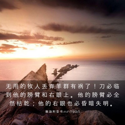 Picture 03 - 撒 迦 利 亚 书 11:17 CUVS - 无 用 的 牧 人 丢 弃 羊 群 有 祸 了 - Bible Verse Picture