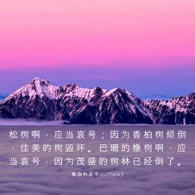 Picture 03 - 撒 迦 利 亚 书 11:2 CUVS - 松 树 啊 ， 应 当 哀 号 ； 因 为 香 - Bible Verse Picture