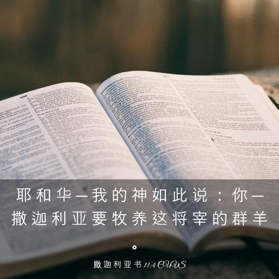 Picture 03 - 撒 迦 利 亚 书 11:4 CUVS - 耶 和 华 ─ 我 的 神 如 此 说 ： 你 - Bible Verse Picture