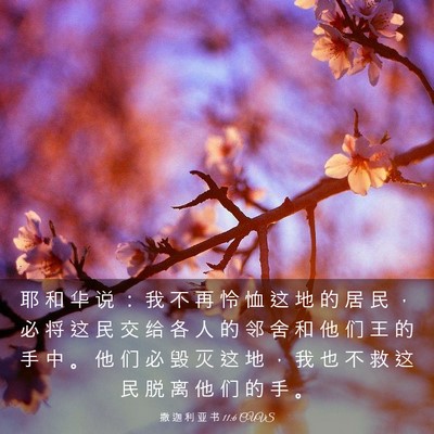 Picture 03 - 撒 迦 利 亚 书 11:6 CUVS - 耶 和 华 说 ： 我 不 再 怜 恤 这 地 - Bible Verse Picture