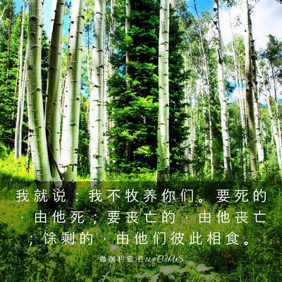 Picture 03 - 撒 迦 利 亚 书 11:9 CUVS - 我 就 说 ： 我 不 牧 养 你 们 。 要 - Bible Verse Picture