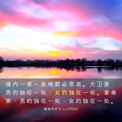Picture 03 - 撒 迦 利 亚 书 12:12 CUVS - 境 内 一 家 一 家 地 都 必 悲 哀 。 - Bible Verse Picture