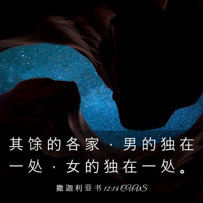 Picture 03 - 撒 迦 利 亚 书 12:14 CUVS - 其 馀 的 各 家 ， 男 的 独 在 一 处 - Bible Verse Picture