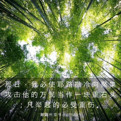 Picture 03 - 撒 迦 利 亚 书 12:3 CUVS - 那 日 ， 我 必 使 耶 路 撒 冷 向 聚 - Bible Verse Picture
