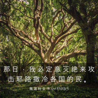 Picture 03 - 撒 迦 利 亚 书 12:9 CUVS - 那 日 ， 我 必 定 意 灭 绝 来 攻 击 - Bible Verse Picture