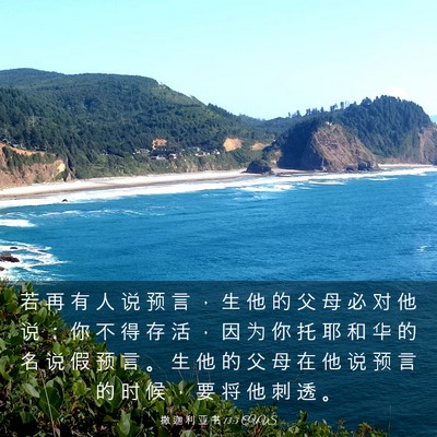 Picture 03 - 撒 迦 利 亚 书 13:3 CUVS - 若 再 有 人 说 预 言 ， 生 他 的 父 - Bible Verse Picture