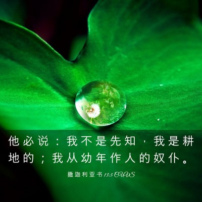 Picture 03 - 撒 迦 利 亚 书 13:5 CUVS - 他 必 说 ： 我 不 是 先 知 ， 我 是 - Bible Verse Picture