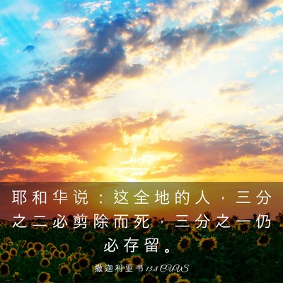 Picture 03 - 撒 迦 利 亚 书 13:8 CUVS - 耶 和 华 说 ： 这 全 地 的 人 ， 三 - Bible Verse Picture