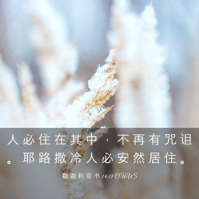 Picture 03 - 撒 迦 利 亚 书 14:11 CUVS - 人 必 住 在 其 中 ， 不 再 有 咒 诅 - Bible Verse Picture