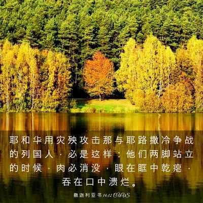 Picture 03 - 撒 迦 利 亚 书 14:12 CUVS - 耶 和 华 用 灾 殃 攻 击 那 与 耶 路 - Bible Verse Picture