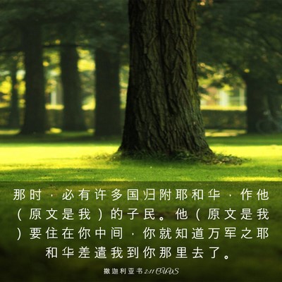 Picture 03 - 撒 迦 利 亚 书 2:11 CUVS - 那 时 ， 必 有 许 多 国 归 附 耶 和 - Bible Verse Picture